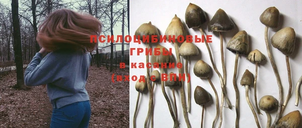 экстази Арсеньев