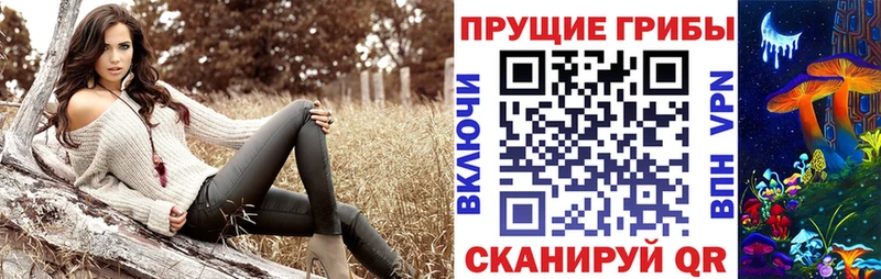 закладка  это состав  Псилоцибиновые грибы Magic Shrooms  Собинка 