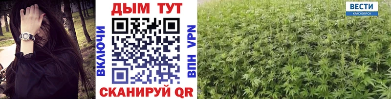 Канабис OG Kush  Собинка 